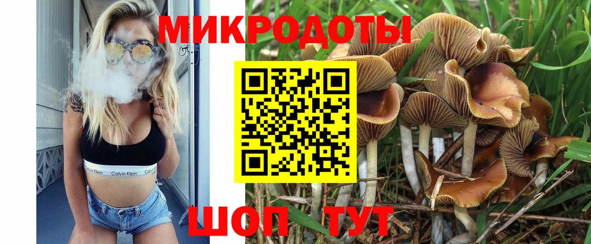 Горно-Алтайск  Псилоцибиновые грибы GOLDEN TEACHER  Вход с VPN  Псилоцибиновые грибы мухоморы 